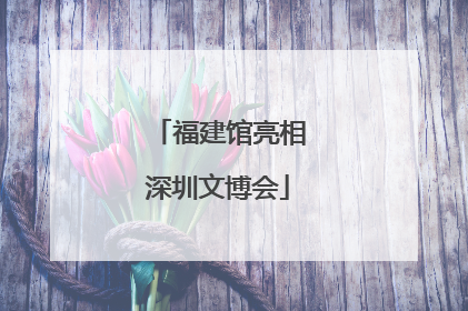 福建馆亮相深圳文博会