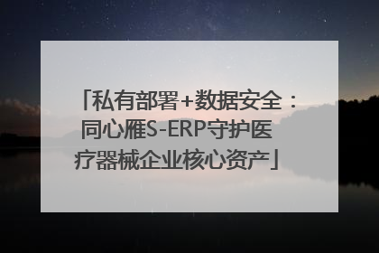 私有部署+数据安全：同心雁S-ERP守护医疗器械企业核心资产