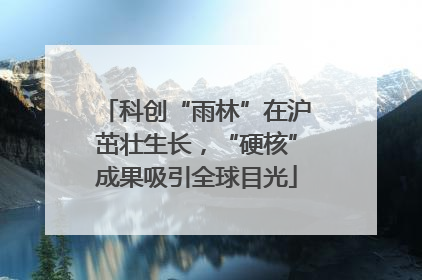 科创“雨林”在沪茁壮生长，“硬核”成果吸引全球目光