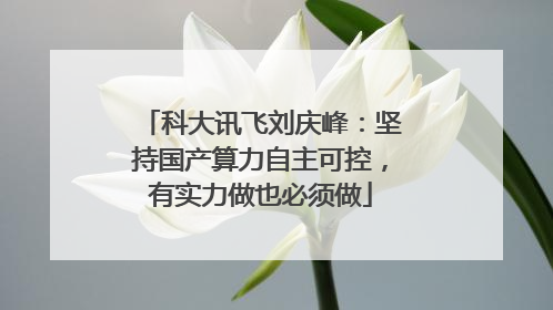 科大讯飞刘庆峰：坚持国产算力自主可控，有实力做也必须做