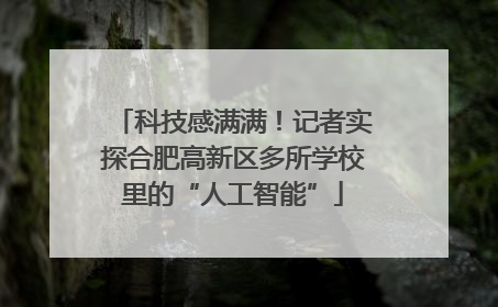 科技感满满！记者实探合肥高新区多所学校里的“人工智能”