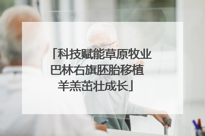 科技赋能草原牧业 巴林右旗胚胎移植羊羔茁壮成长