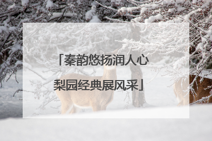 秦韵悠扬润人心 梨园经典展风采
