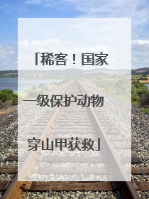 稀客！国家一级保护动物穿山甲获救