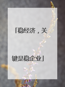 稳经济，关键是稳企业
