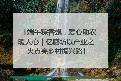 端午粽香飘，爱心助农暖人心｜亿膳坊以产业之火点亮乡村振兴路