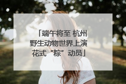 端午将至 杭州野生动物世界上演花式“粽”动员