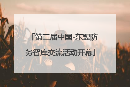 第三届中国-东盟防务智库交流活动开幕