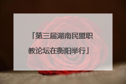 第三届湖南民盟职教论坛在衡阳举行
