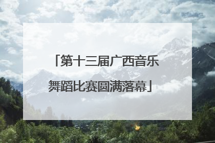 第十三届广西音乐舞蹈比赛圆满落幕