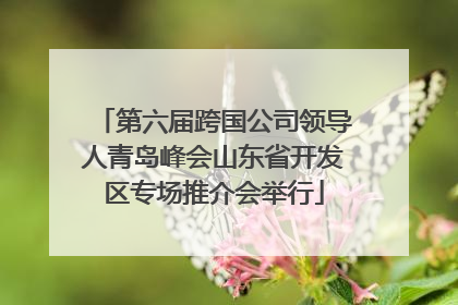 第六届跨国公司领导人青岛峰会山东省开发区专场推介会举行