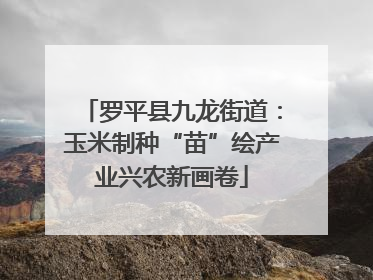 罗平县九龙街道：玉米制种“苗”绘产业兴农新画卷