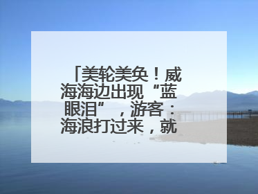 美轮美奂！威海海边出现“蓝眼泪”，游客：海浪打过来，就像星河一样