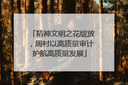 精神文明之花绽放，周村以高质量审计护航高质量发展