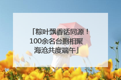 粽叶飘香话同源！100余名台胞相聚海沧共度端午