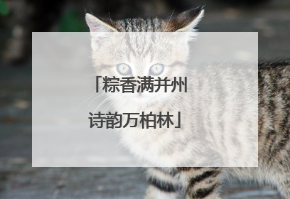 粽香满并州 诗韵万柏林