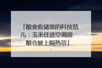 粮食收储里的科技范儿：玉米住进空调房 粮仓披上隔热罩