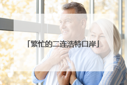 繁忙的二连浩特口岸