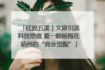 红观五溪｜文旅引流 科技增值 看一颗杨梅在靖州的“商业觉醒”