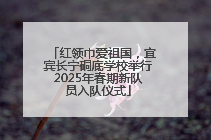 红领巾爱祖国，宜宾长宁硐底学校举行2025年春期新队员入队仪式