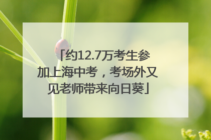 约12.7万考生参加上海中考，考场外又见老师带来向日葵