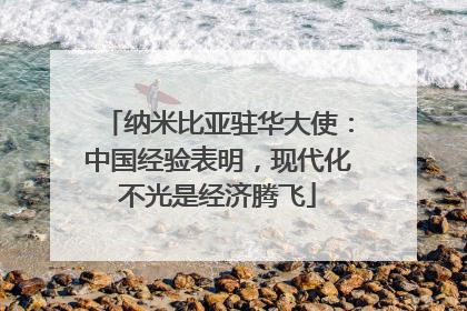 纳米比亚驻华大使：中国经验表明，现代化不光是经济腾飞