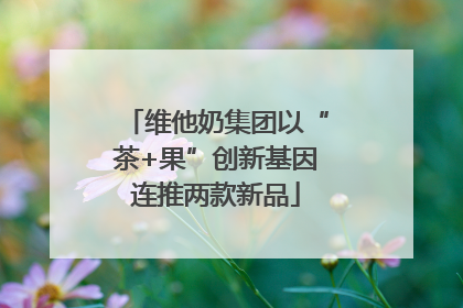维他奶集团以“茶+果”创新基因连推两款新品