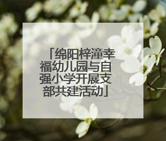 绵阳梓潼幸福幼儿园与自强小学开展支部共建活动