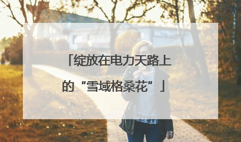 绽放在电力天路上的“雪域格桑花”
