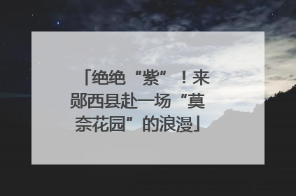 绝绝“紫”！来郧西县赴一场“莫奈花园”的浪漫