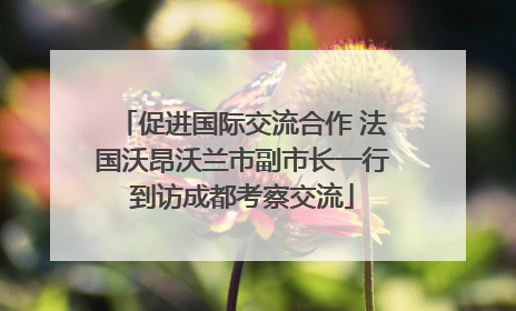 促进国际交流合作 法国沃昂沃兰市副市长一行到访成都考察交流