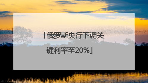 俄罗斯央行下调关键利率至20%
