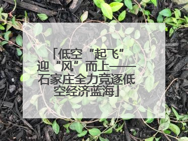 低空“起飞” 迎“风”而上——石家庄全力竞逐低空经济蓝海