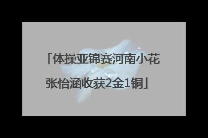 体操亚锦赛河南小花张怡涵收获2金1铜