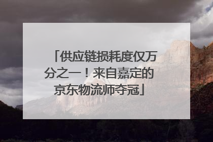 供应链损耗度仅万分之一！来自嘉定的京东物流师夺冠