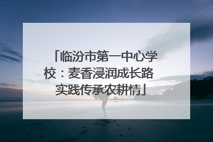 临汾市第一中心学校：麦香浸润成长路 实践传承农耕情