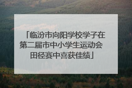 临汾市向阳学校学子在第二届市中小学生运动会田径赛中喜获佳绩