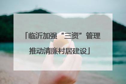 临沂加强“三资”管理 推动清廉村居建设