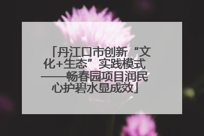 丹江口市创新“文化+生态”实践模式——畅春园项目润民心护碧水显成效