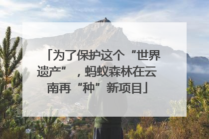 为了保护这个“世界遗产”，蚂蚁森林在云南再“种”新项目