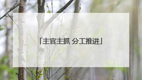 主官主抓 分工推进