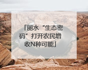 丽水“生态密码”打开农民增收N种可能