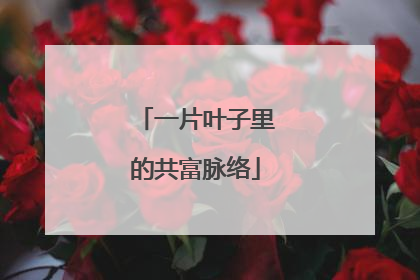 一片叶子里的共富脉络