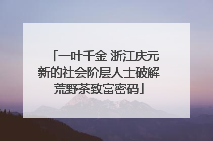 一叶千金 浙江庆元新的社会阶层人士破解荒野茶致富密码