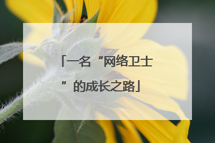 一名“网络卫士”的成长之路