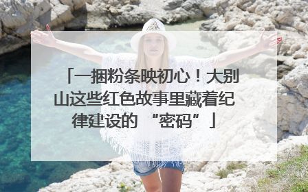 一捆粉条映初心！大别山这些红色故事里藏着纪律建设的 “密码”