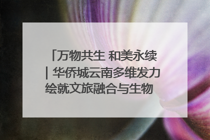 万物共生 和美永续｜华侨城云南多维发力 绘就文旅融合与生物多样性保护新图景