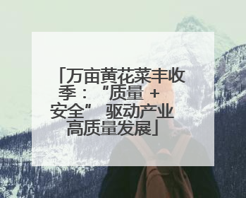 万亩黄花菜丰收季：“质量 + 安全” 驱动产业高质量发展