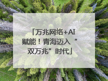 万兆网络+AI赋能！青海迈入“双万兆”时代