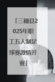 三穗县2025年职工五人制足球赛激情开赛